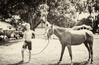 young boy with horse, Marrickville